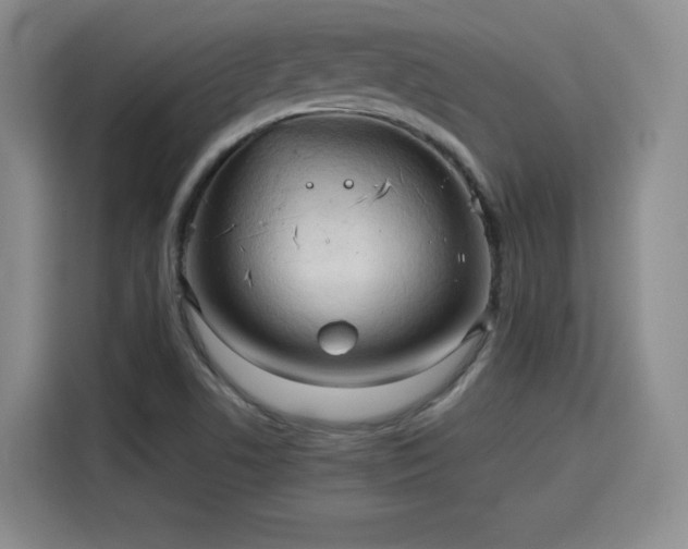 X0000115801506200911201347
