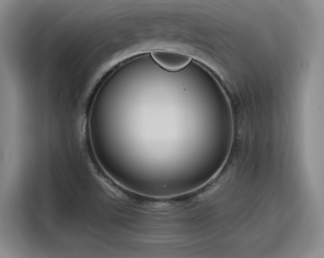 X0000115801507200911201347