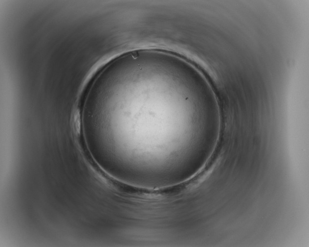 X0000115801509200911201347