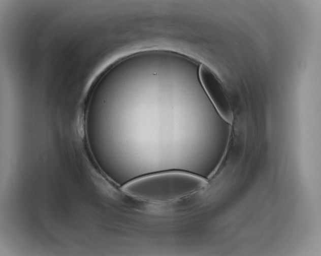 X0000115801510200911201347