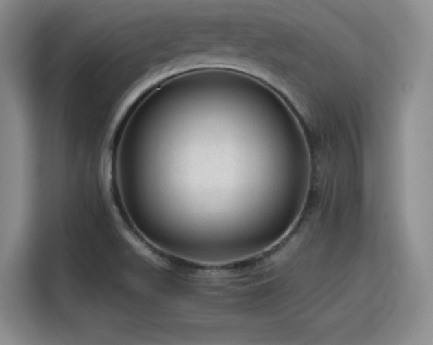 X0000115801511200911201347
