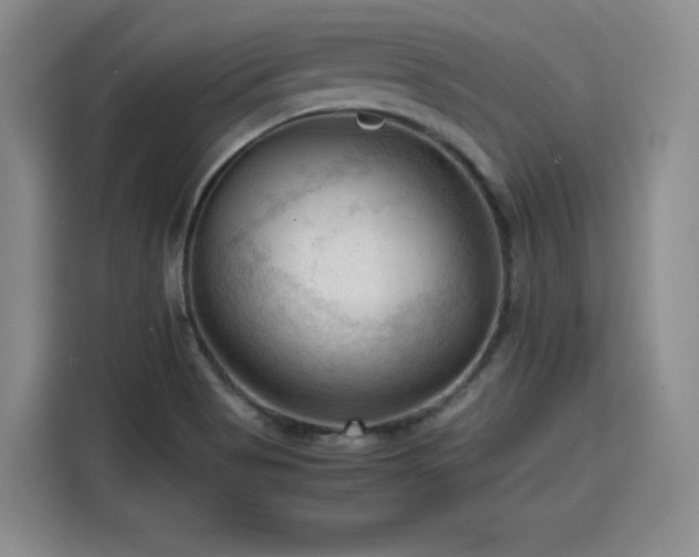 X0000115801513200911201347