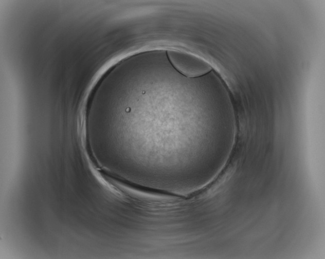 X0000115801515200911201347