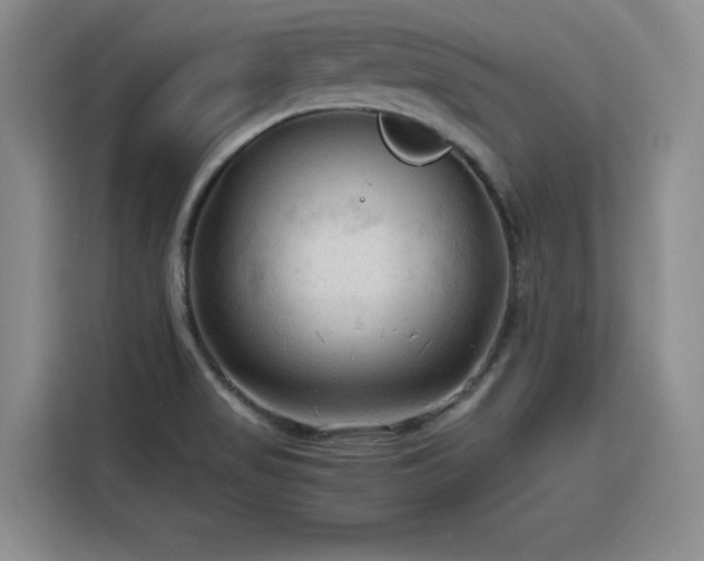 X0000115801517200911201347