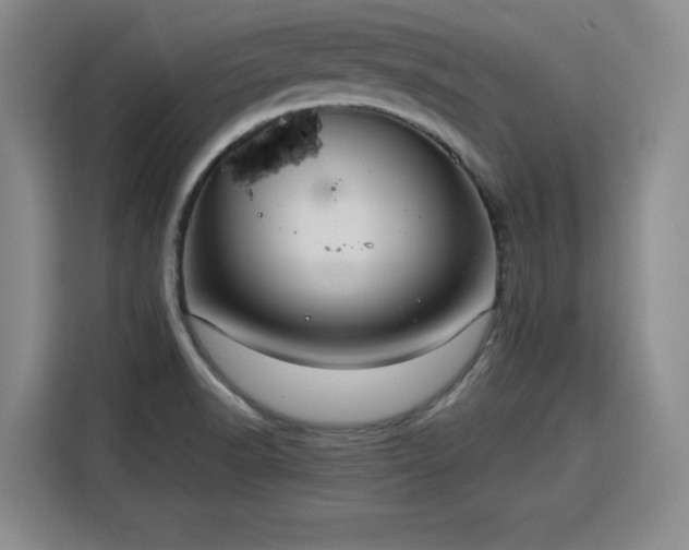 X0000115801518200911201347