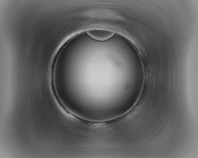 X0000115801523200911201347