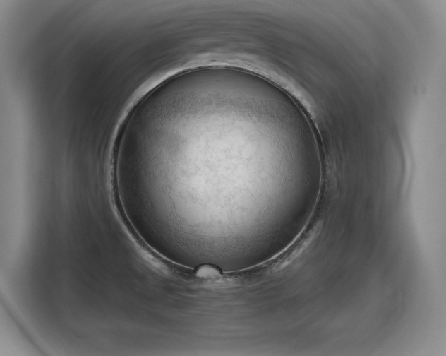X0000115801525200911201347