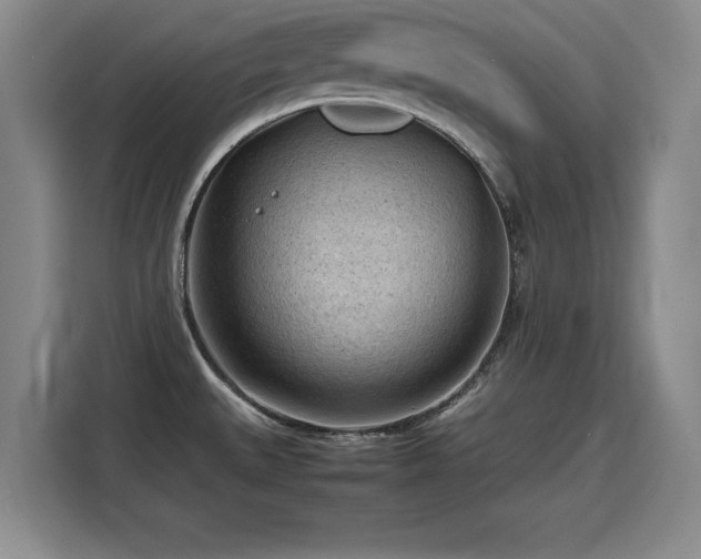 X0000115801527200911201347
