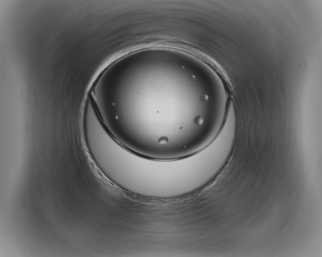 X0000115801530200911201347