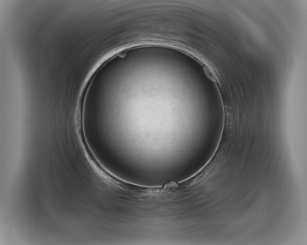 X0000115801531200911201347