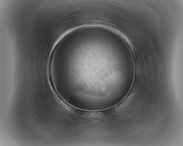 X0000115801533200911201348