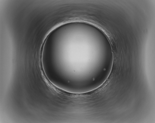 X0000115801534200911201348