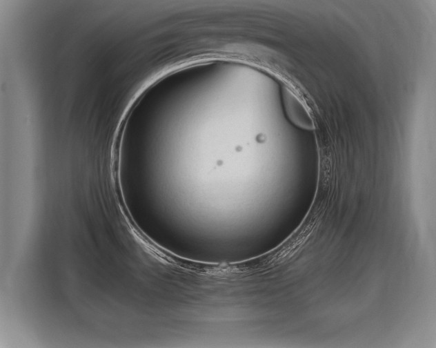 X0000115801535200911201348