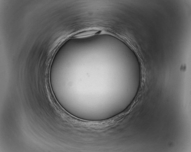 X0000115800001200911271301