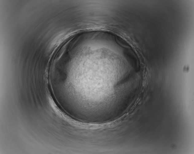 X0000115800002200911271301