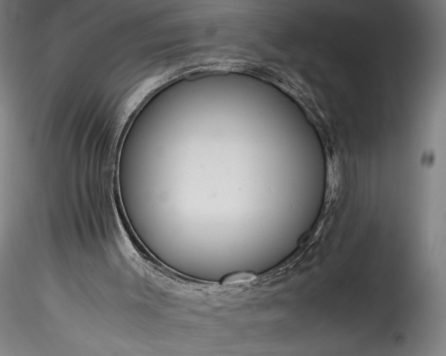 X0000115800003200911271301