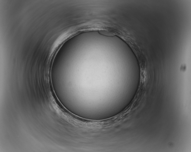 X0000115800004200911271301