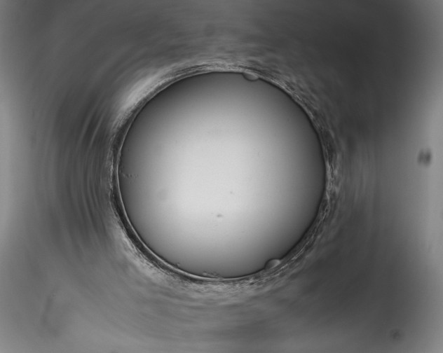 X0000115800005200911271301