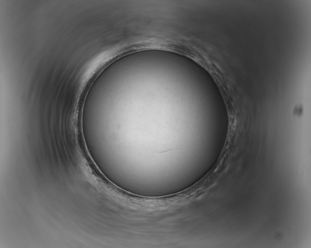 X0000115800006200911271301