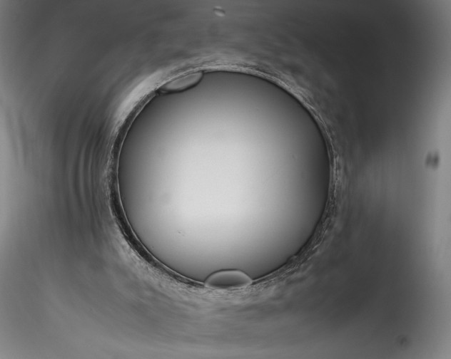 X0000115800007200911271301