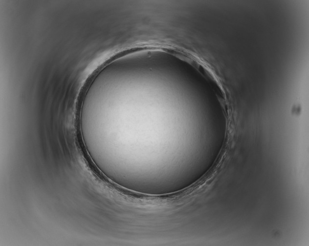 X0000115800008200911271301