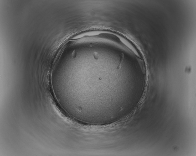 X0000115800009200911271301