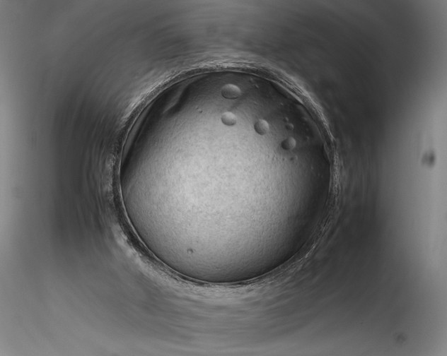 X0000115800010200911271301