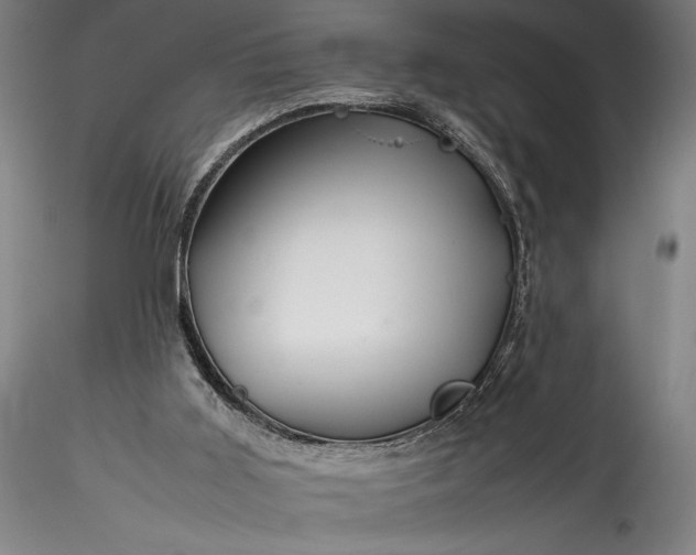 X0000115800011200911271301