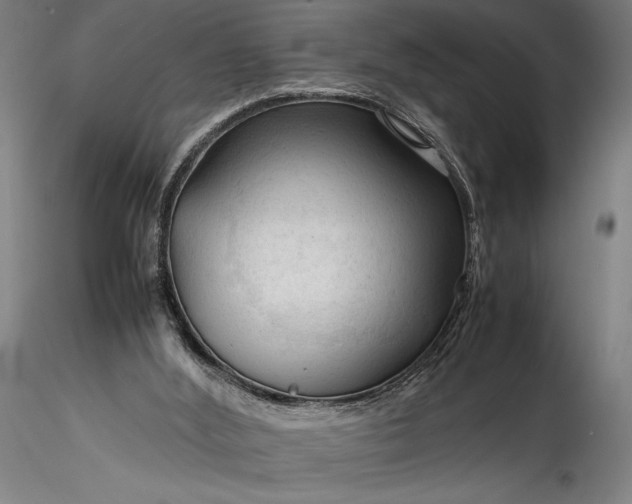 X0000115800012200911271301