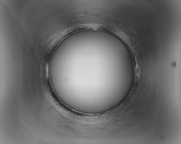 X0000115800013200911271301