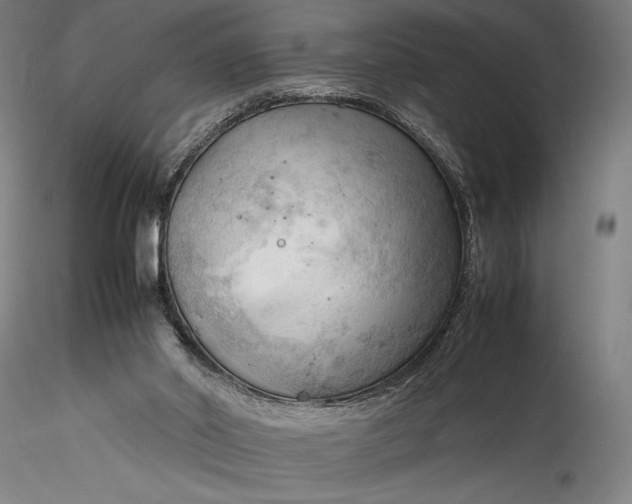 X0000115800014200911271301