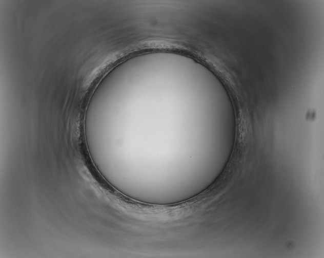 X0000115800015200911271301