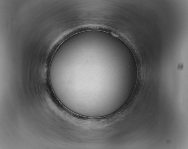 X0000115800016200911271301