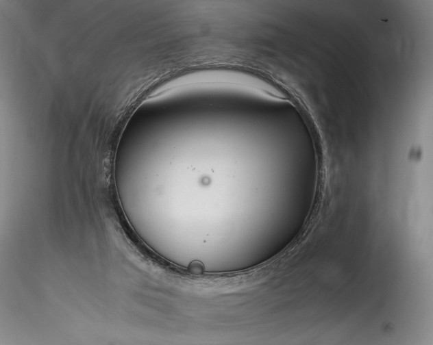 X0000115800017200911271301