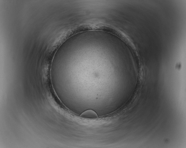 X0000115800018200911271301