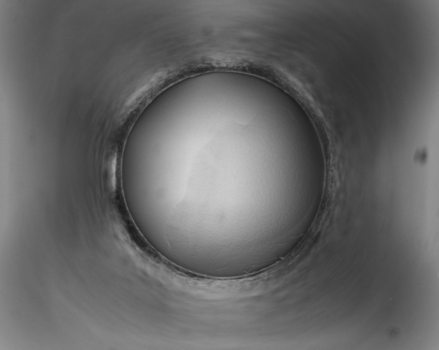 X0000115800019200911271301