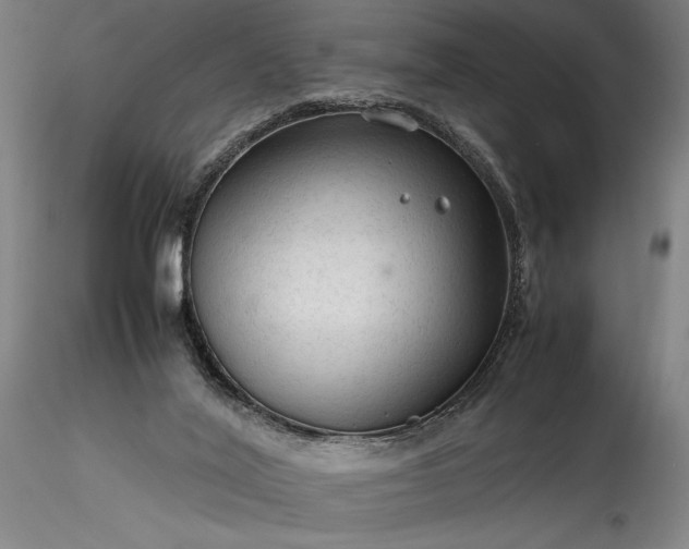 X0000115800020200911271301