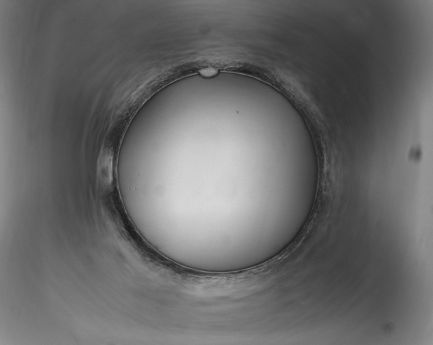 X0000115800021200911271301