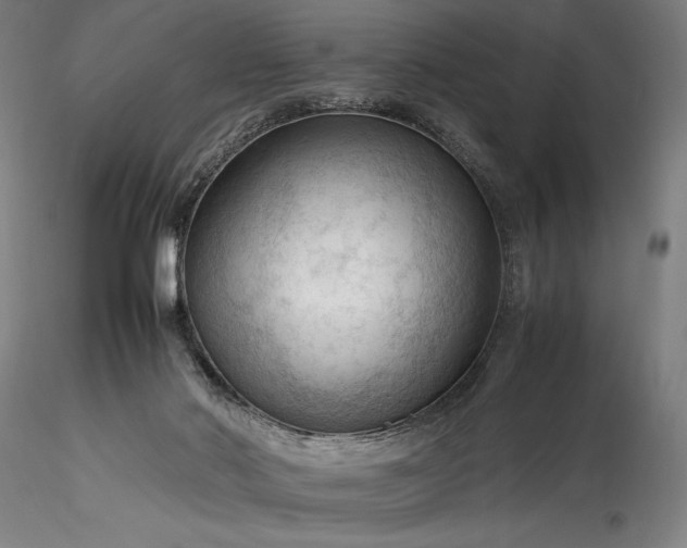 X0000115800022200911271301