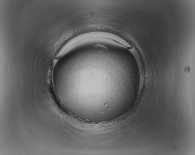 X0000115800023200911271301