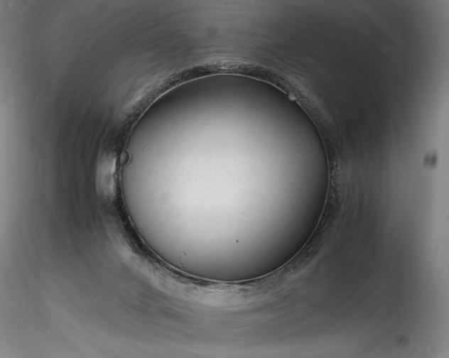 X0000115800024200911271301