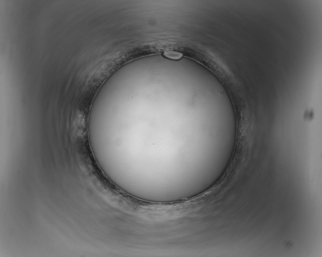 X0000115800025200911271301