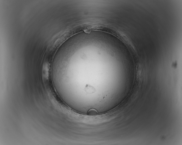 X0000115800026200911271301