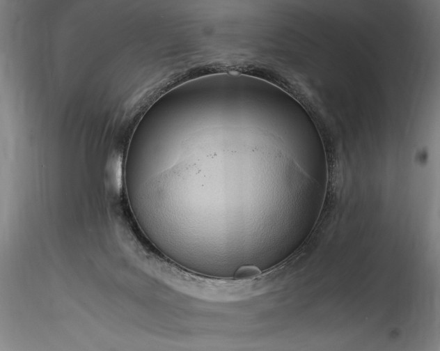 X0000115800027200911271301