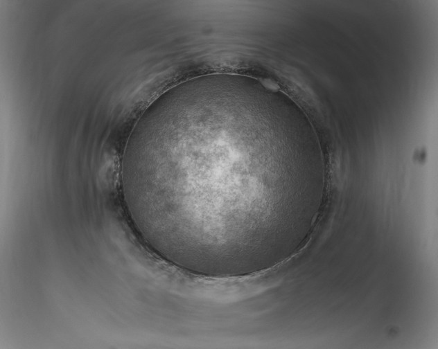 X0000115800029200911271301