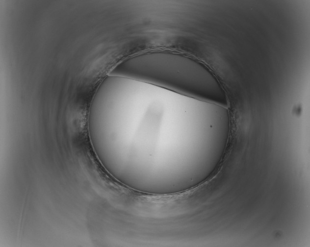 X0000115800033200911271301