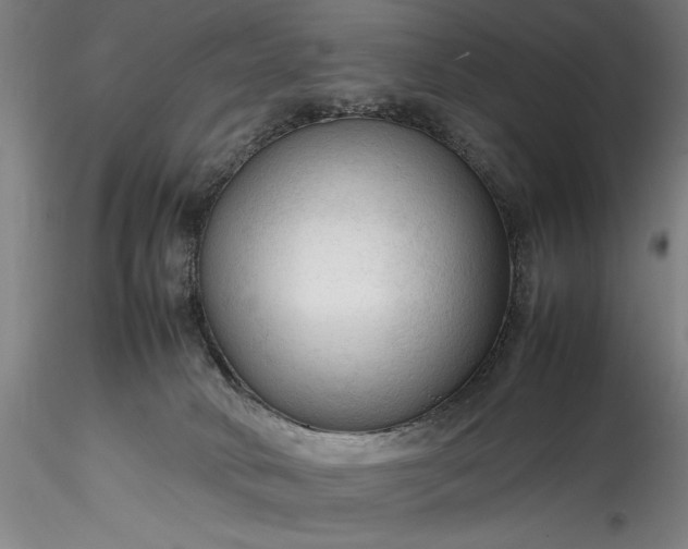 X0000115800034200911271301