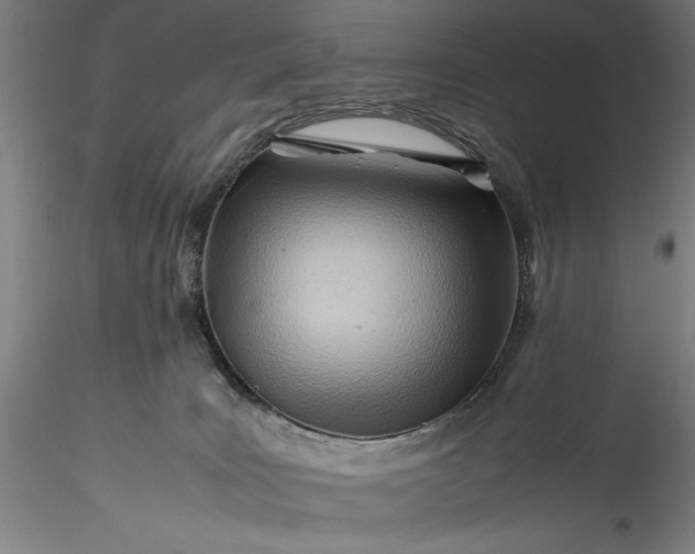 X0000115800035200911271301