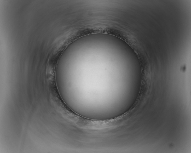 X0000115800037200911271301