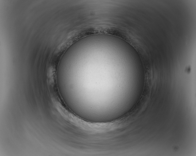 X0000115800038200911271301